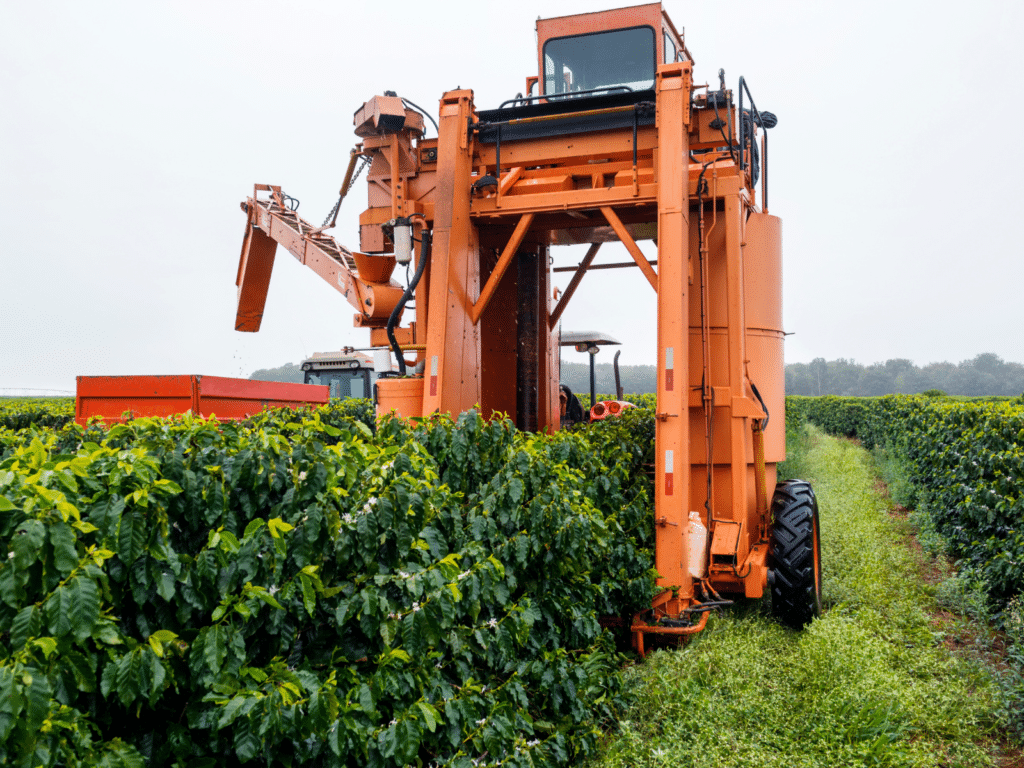 Farm Equipment Auction - Past Auctions